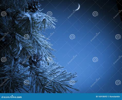 Christmas Night Stock Image Image Of Greetings Night 16918693