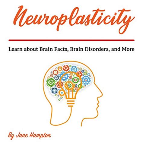 neuroplasticity learn about brain facts brain disorders and more audible audio