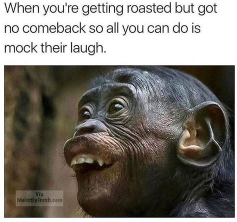 53 Memes Guaranteed To Make You Laugh Funny Pictures Funny Animal Memes