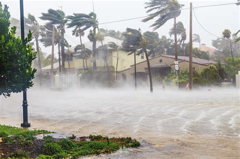 Hurricane Season Understanding Homeowners And Renters Insurance Uf