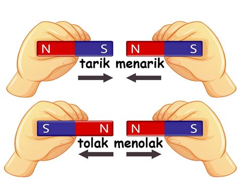 Mengenal Magnet Mulai Dari Pengertian Jenis Dan Sifat Vrogue Co