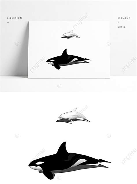 Two Models Of Marine Animals Background Shark Dolphin Black And