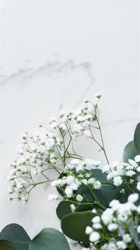 귀여운 벽지 배경 파스텔 벽지 예쁜 월페이퍼 벽지 아이디어 그린 꽃 꽃 배경 아이폰 아름다운 꽃 배경 화면