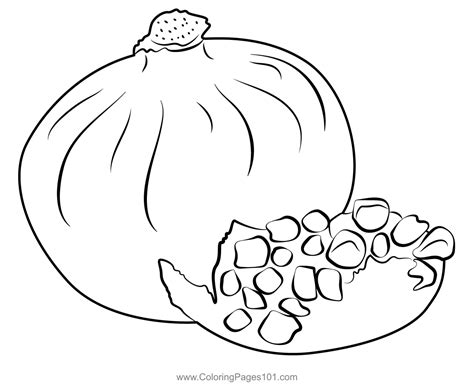Pomegranate And Its Half Coloring Page For Kids Free Pomegranate