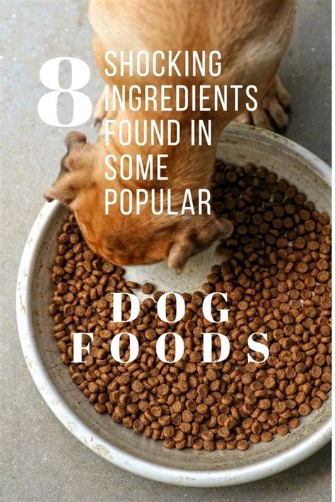 This food is safe for all life stages and all breeds. 8 Shocking Truths About Ingredients Found Some of Your ...