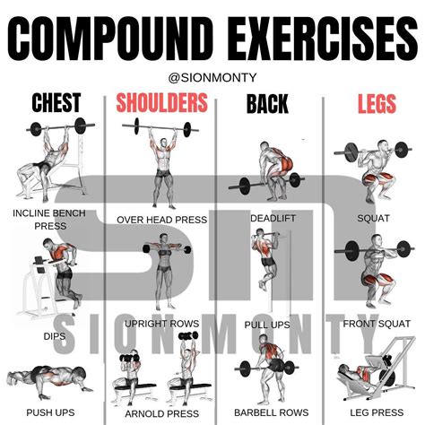 Musclemorph On Instagram 🏋🏻compound Vs 💪🏻isolation Exercises By