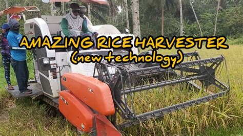 Amazing Rice Harvester Philippines New Technology Youtube