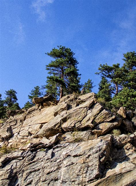 Trees On Cliffs Free Stock Photo Public Domain Pictures