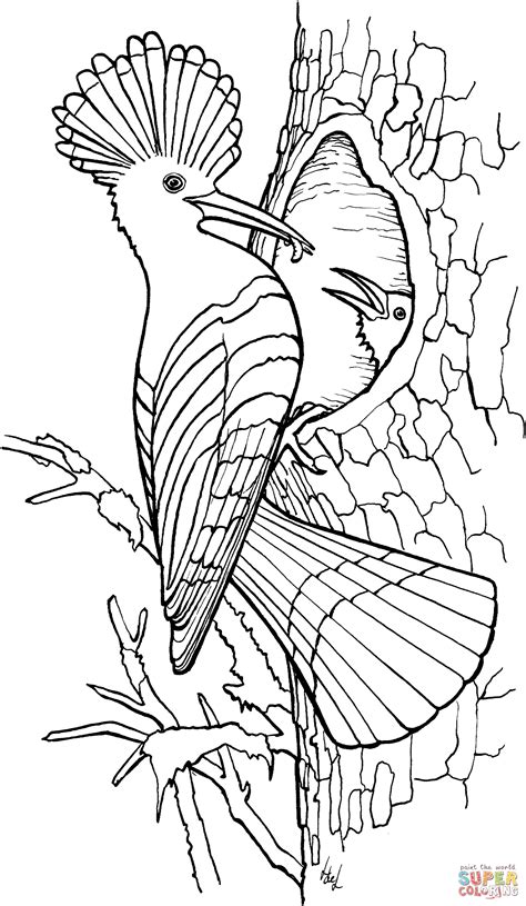 Free Colouring In Sheet - Free Coloring Page
