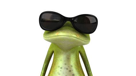 Funny Frog Wallpaper Desktop Wallpapersafari