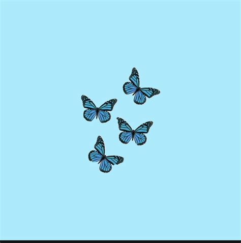 Aesthetic Butterfly 🦋 Wallpaper Blue Butterfly Wallpaper Light Blue