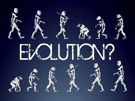 Are We Still Evolving The Future Of Human Evolution Wake Up World