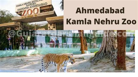 Ahmedabad Kamla Nehru Zoo Timing Ticket Online Booking Gujarat