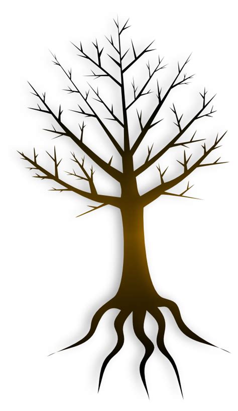 Free Tree Trunk Images Download Free Tree Trunk Images Png Images