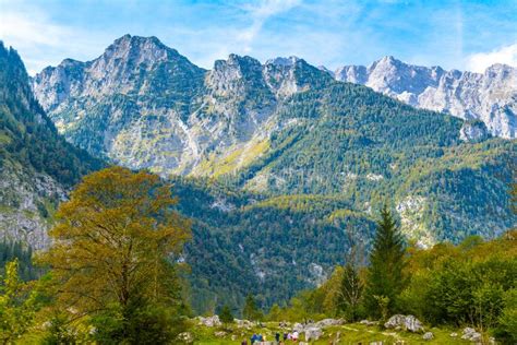 Alps Mountains Covered With Forest Koenigssee Konigsee Berchtesgaden