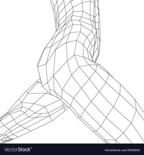 Beautiful Naked Woman Poses Female Body D Wireframe Vector Dipinti The Best Porn Website