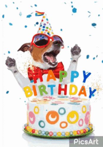 German shepherd happy birthday gif gif images download. Dog Birthday GIFs | Tenor