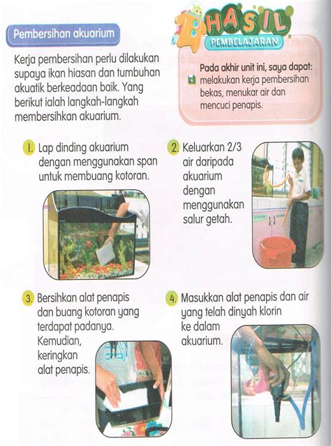 Anda boleh membersihkan akuarium secara. CARA MEMBERSIHKAN AKUARIUM ~ BLOG KEMAHIRAN HIDUP