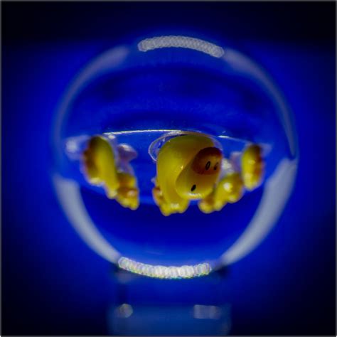 Behind Glass Tiny Duck Pins Through A Inch Lens Ball Kirsti