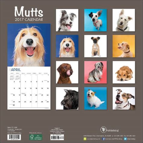 Dog Calendars Puppy Calendars √ Home Desk And Wall Eye Catching Dogica®