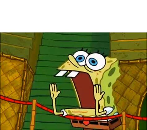 Spongebob Screaming Meme Template Imagesee