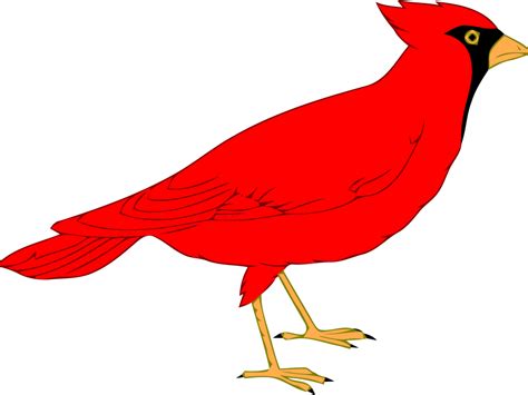 Northern Cardinal St Louis Cardinals Clip Art Others Png Download