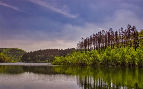 Download Wallpaper 3840x2400 Trees Bushes Lake Reflection Sky