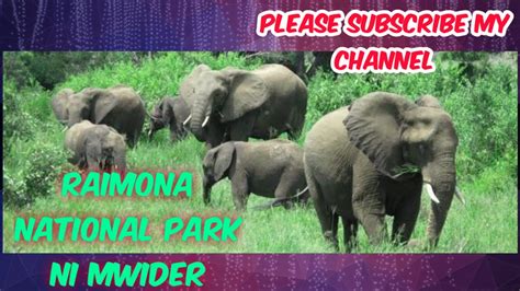 Raimona National Park Ni Mwider B T R Assam YouTube