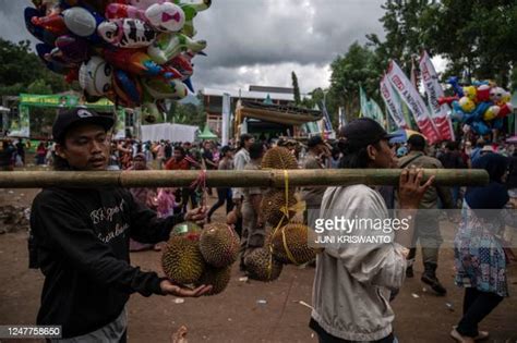 Durian Fruit Festival In East Java Indonesia Photos And Premium High