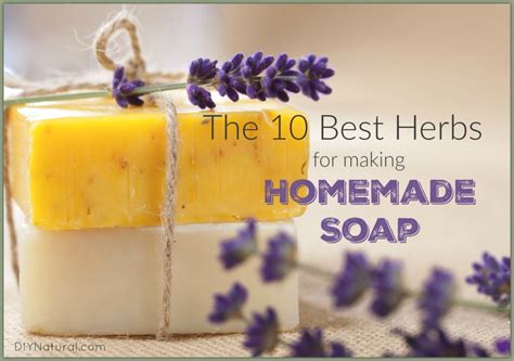 Khadi natural handmade soap is a total booster of herbal and natural ingredients. Herbal Soap: The Best Herbs To Use in Your Soap Making Recipes