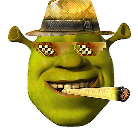 Face Clipart Shrek Face Shrek Transparent Free For Download On