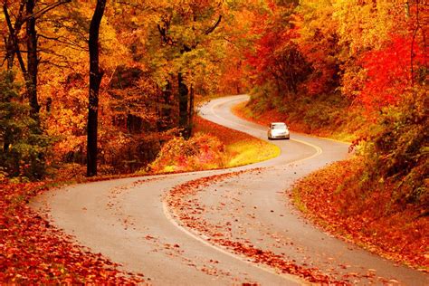Fall Foliage Peak Periods In The Southeast