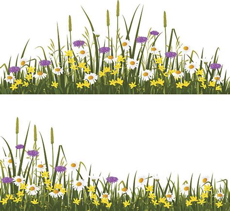 Wildflowers Clipart And Stamps Digital Clipart Clip A
