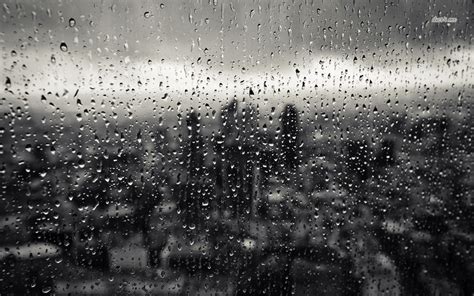 Free Download Rainy Window Wallpaper Photography Wallpapers 24929
