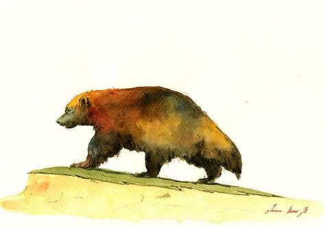 Original Wolverine Animal Painting Wolverine Watercolor Art Lover