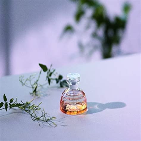 Buy The Body Shop Indian Night Jasmine Eau De Toilette 50 Ml Online At Best Price Perfumes