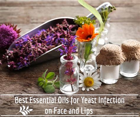 Can You Use Essential Oils For Yeast Infection On Face And Lips