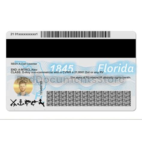 Florida Driver License Psd Template Psd Documents Store