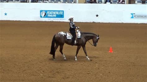 2015 Aphc National Show Masters Western Horsemanship Pattern Youtube