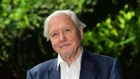 sir david attenborough finally ready to retire after seeing every living species have a shag