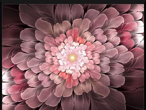 Flowers In Fractals