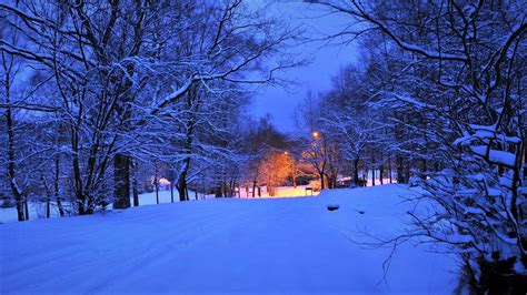Winter Road At Dusk