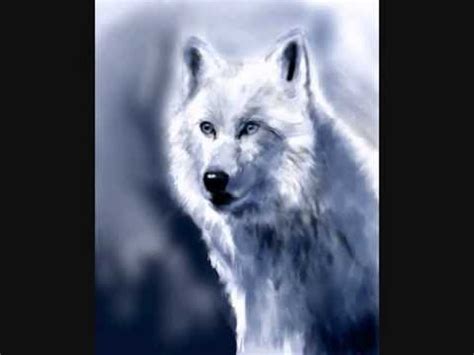 White wolf illustration on black ground. Time Lapse Drawing White Wolf - YouTube