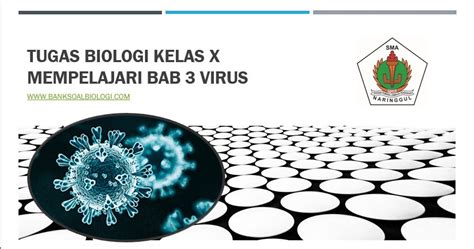 Tugas Biologi Kelas X Mempelajari Bab 3 VIrus BSB