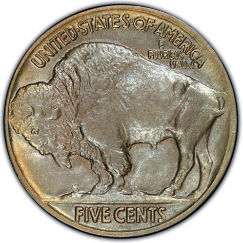 1916 Buffalo Nickel Values And Prices Past Sales