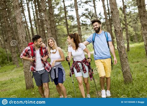 Group Of Four Friends Hiking Together Through A Forest Stock Image