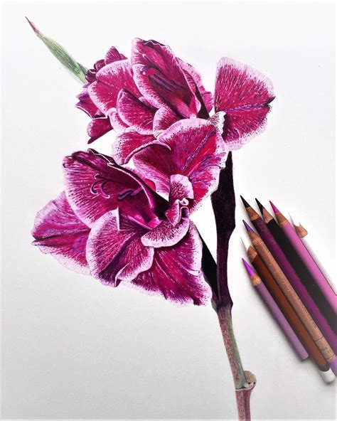 32 Colored Pencil Art For Beginners Barindermargaux