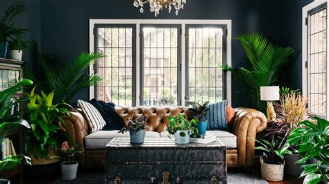 The tropical plants, cacti, flowers, bees, birds and dragonflies combined with soothing designer alipher says: Plant-Lover Living Room Zoom Background | Download Free ...