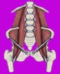 You use them every time you lean to one side, arch your back, bend forward, or twist. Experiencing Front of Hip Pain? Here's What's Causing It.