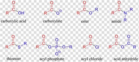 The react with bases/alkalis to for salts and release carbon dioxide from carbonates. Ether Carboxylic acid Acyl group Ester Functional group ...